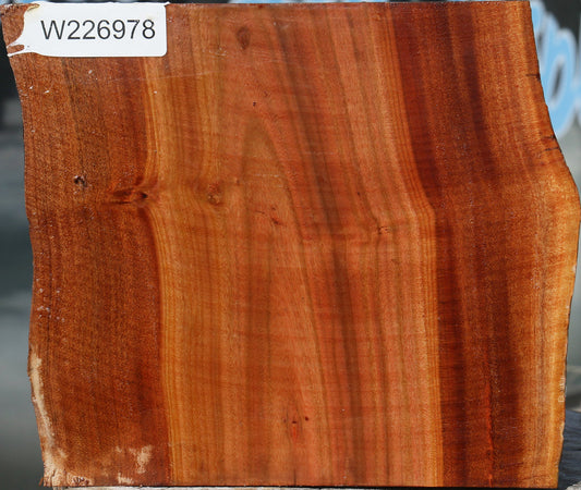 Brazilian Pepperwood Half Log