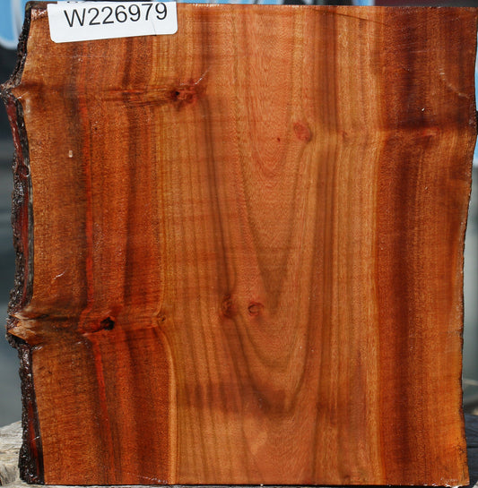 Brazilian Pepperwood Half Log
