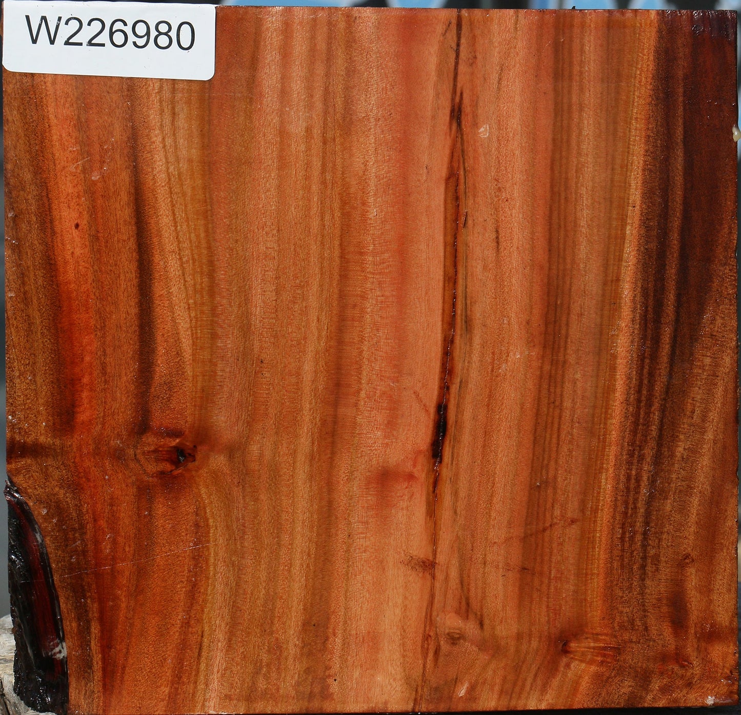 Brazilian Pepperwood Half Log