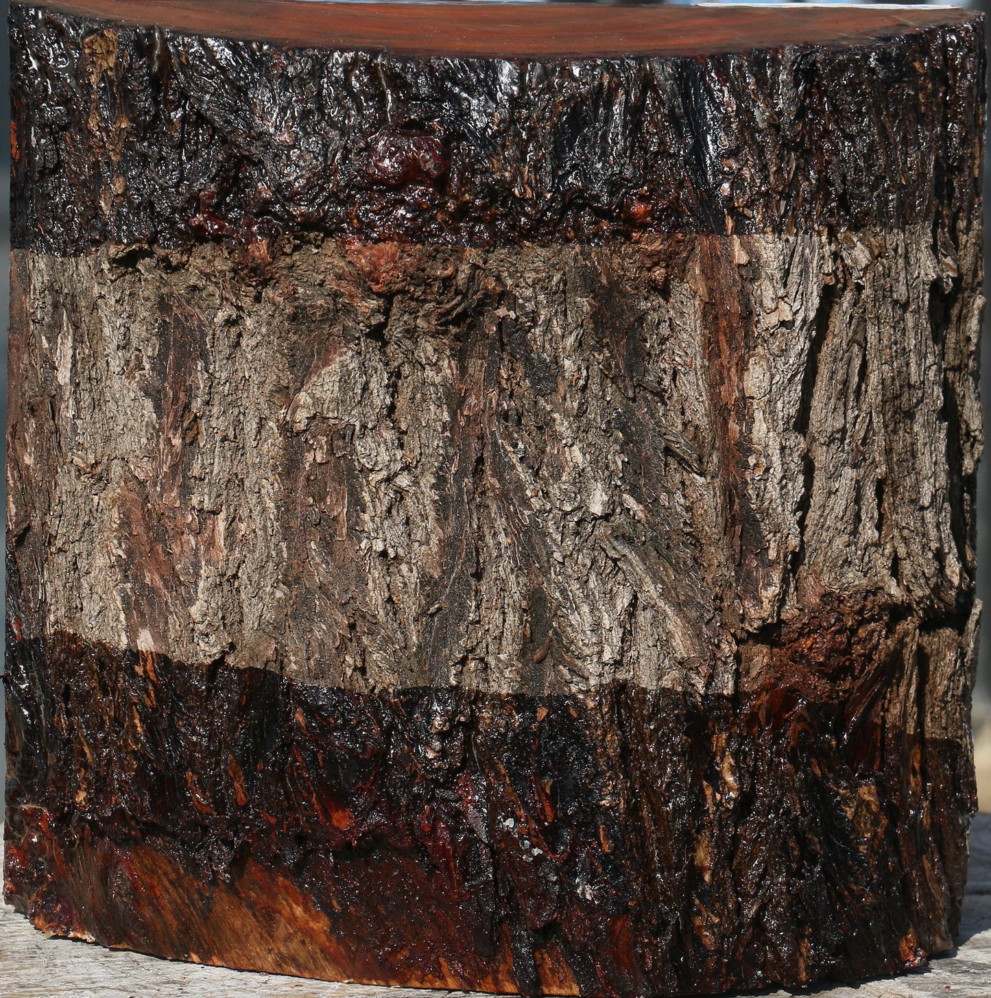 Brazilian Pepperwood Half Log