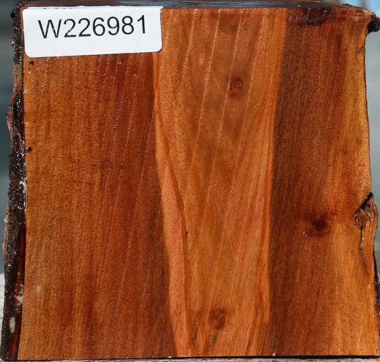 Brazilian Pepperwood Half Log