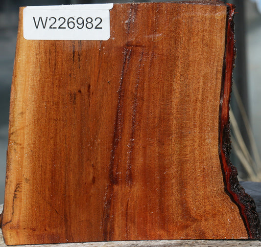 Brazilian Pepperwood Half Log