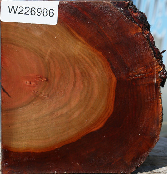 Brazilian Pepperwood Live Edge Bowl Blank