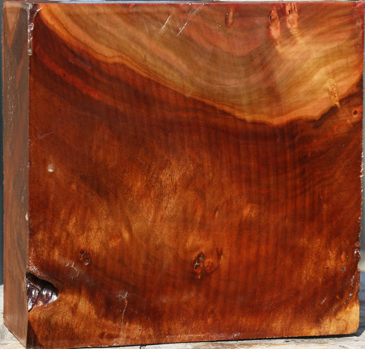 Extra Fancy Brazilian Pepperwood Bowl Blank