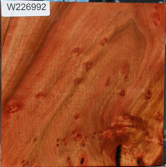 Extra Fancy Brazilian Pepperwood Bowl Blank