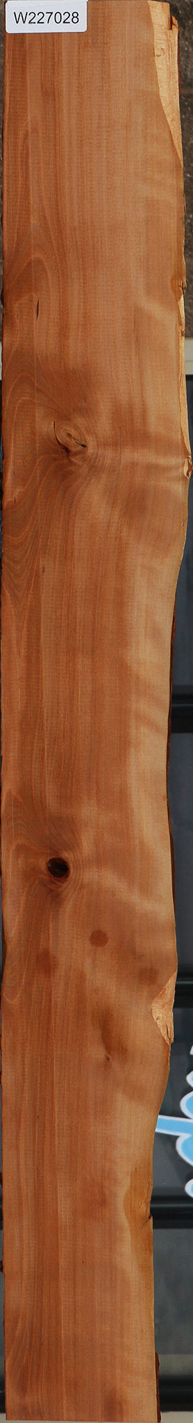 Madrone Live Edge Lumber