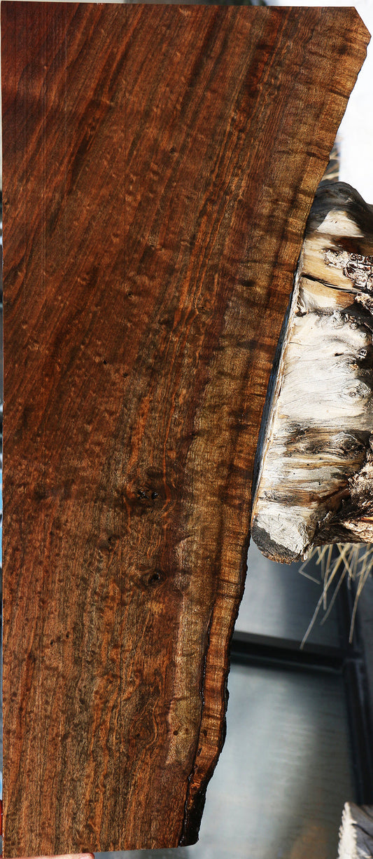 Quartersawn Claro Walnut Live Edge Lumber