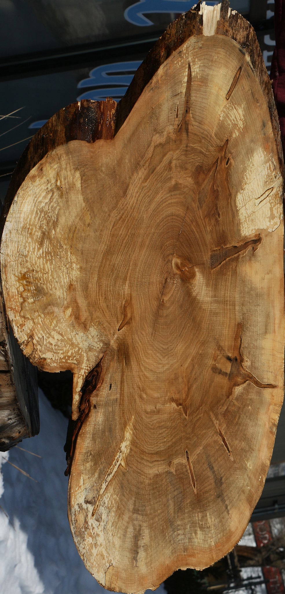 Figured Ambrosia Maple Cookie