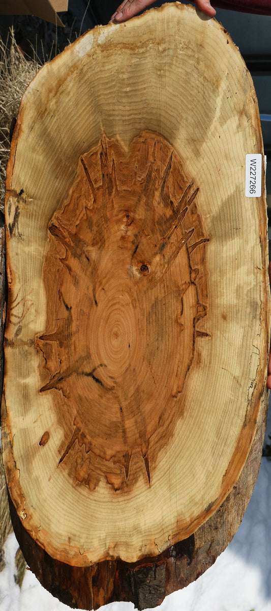 Ambrosia Maple Cookie