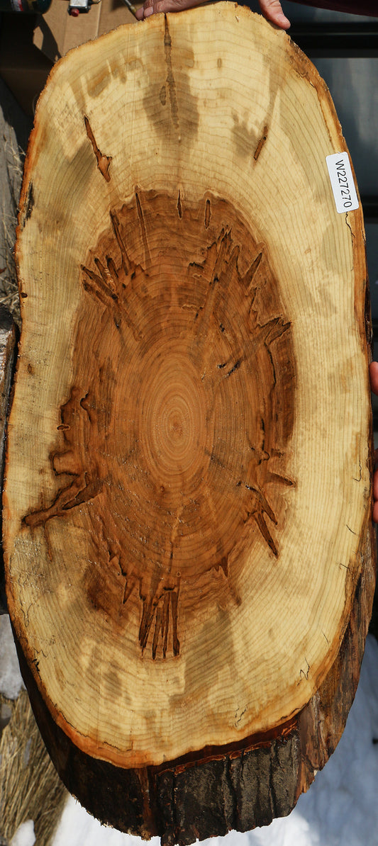 Ambrosia Maple Cookie