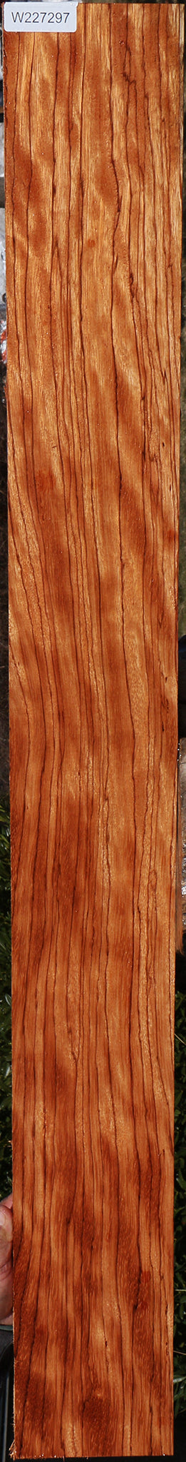 Extra Fancy Ebiara Lumber