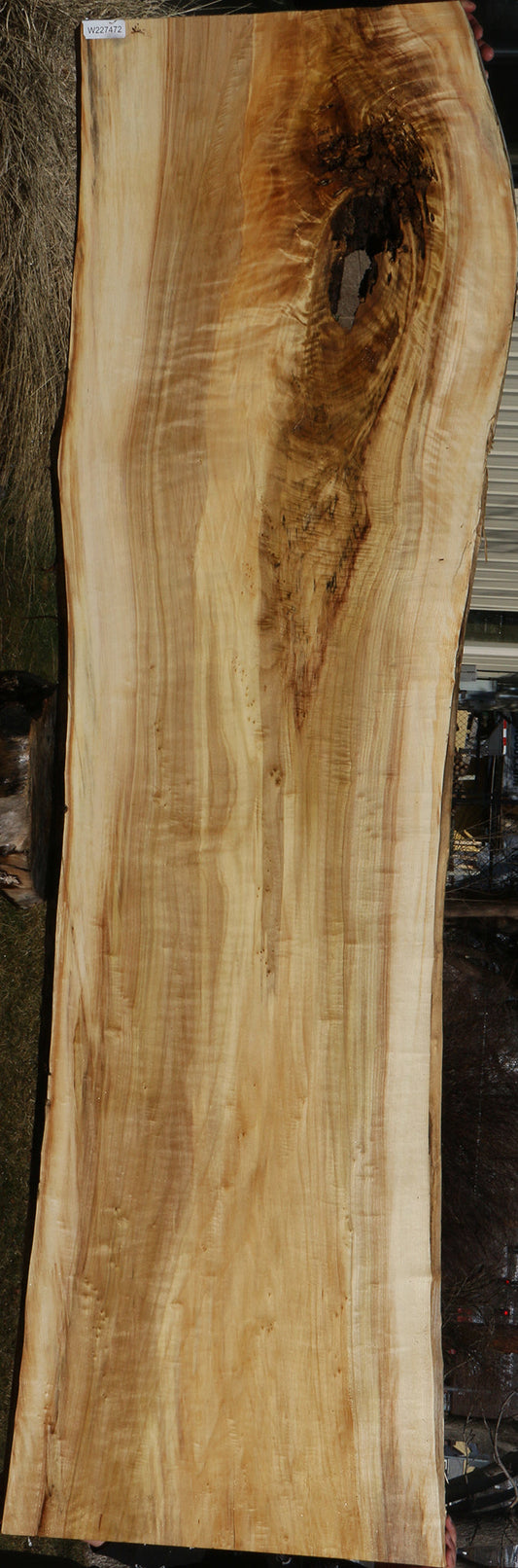Extra Fancy Black Cottonwood Live Edge Slab