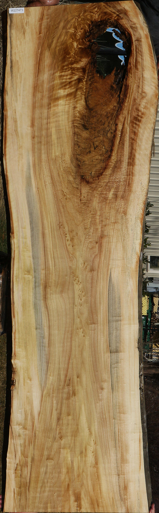 Extra Fancy Rustic Black Cottonwood Live Edge Slab