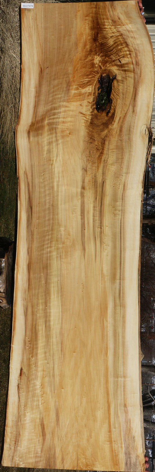 Extra Fancy Rustic Black Cottonwood Live Edge Slab