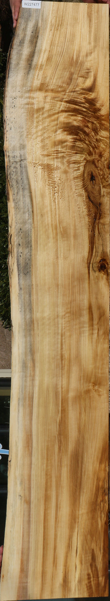 Figured Black Cottonwood Live Edge Slab (Free Shipping Excluded)