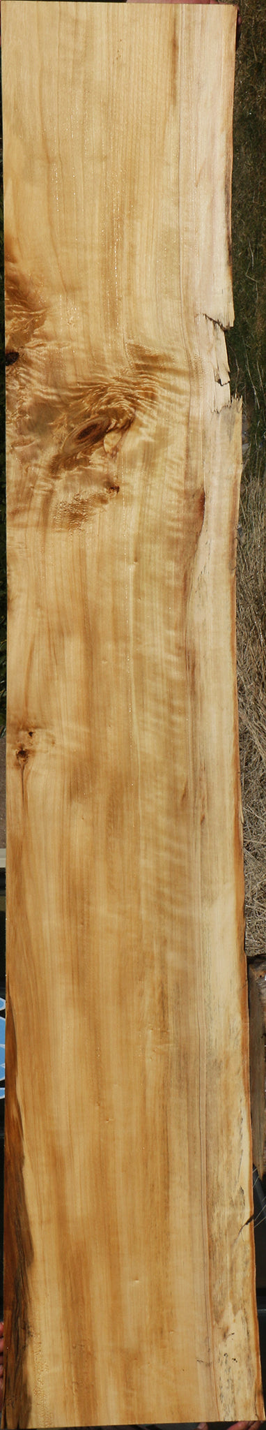 Figured Black Cottonwood Live Edge Slab