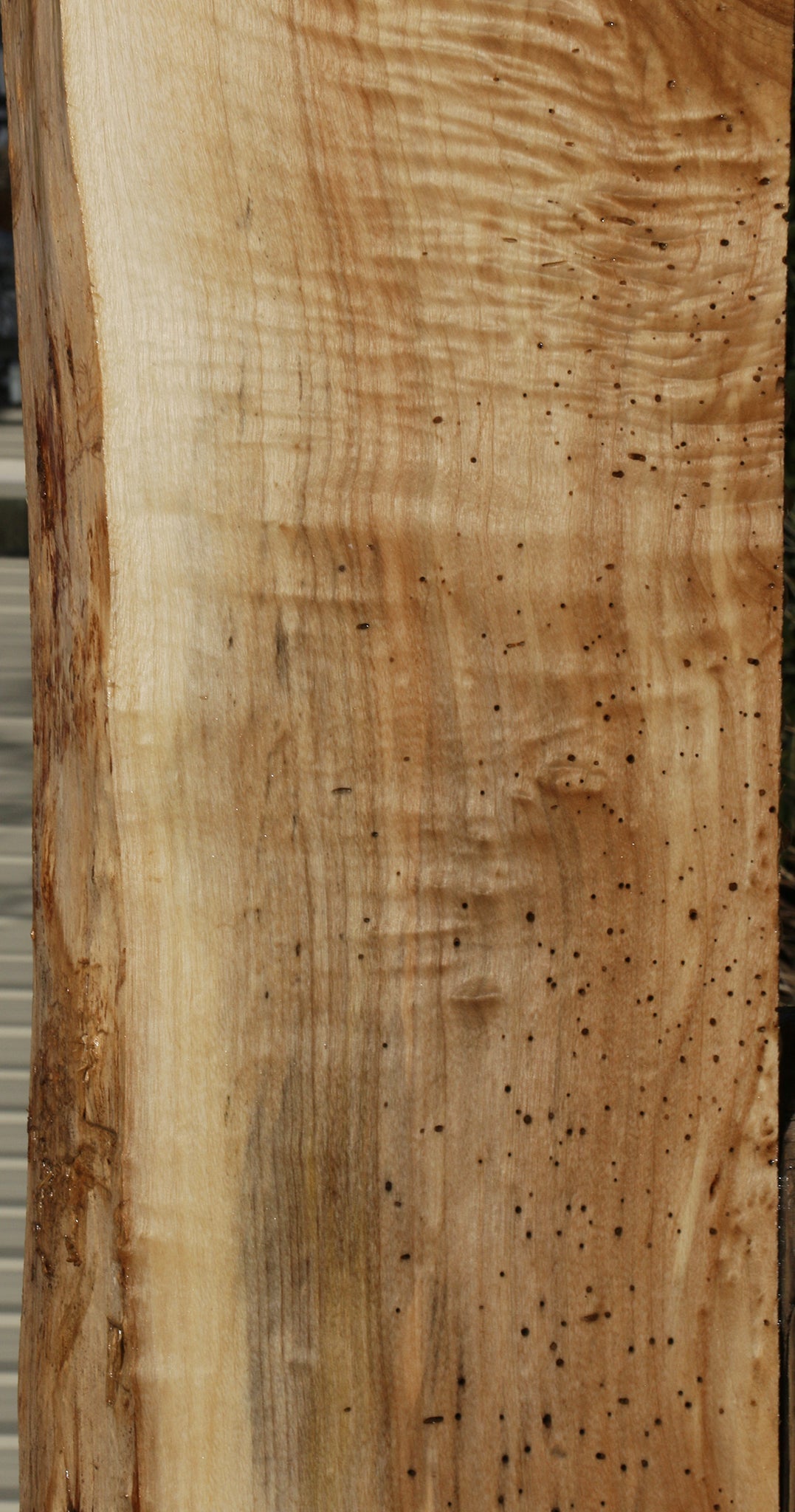 Figured Black Cottonwood Live Edge Lumber