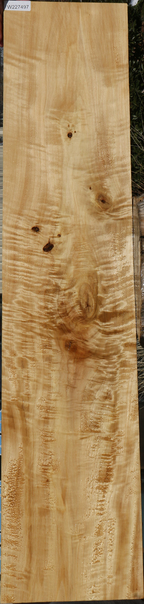 Extra Fancy Black Cottonwood Lumber