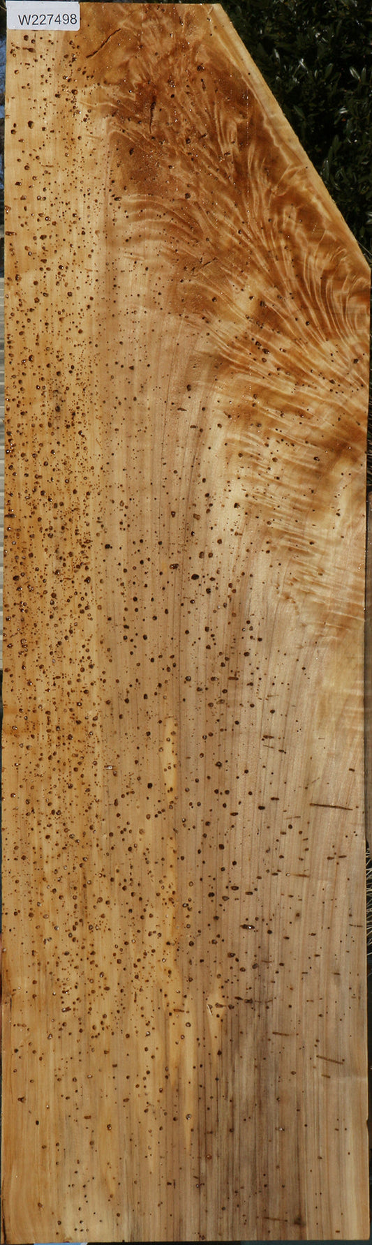 Figured Rustic Black Cottonwood Lumber