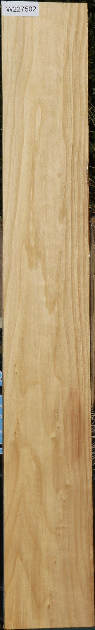 Black Cottonwood Lumber