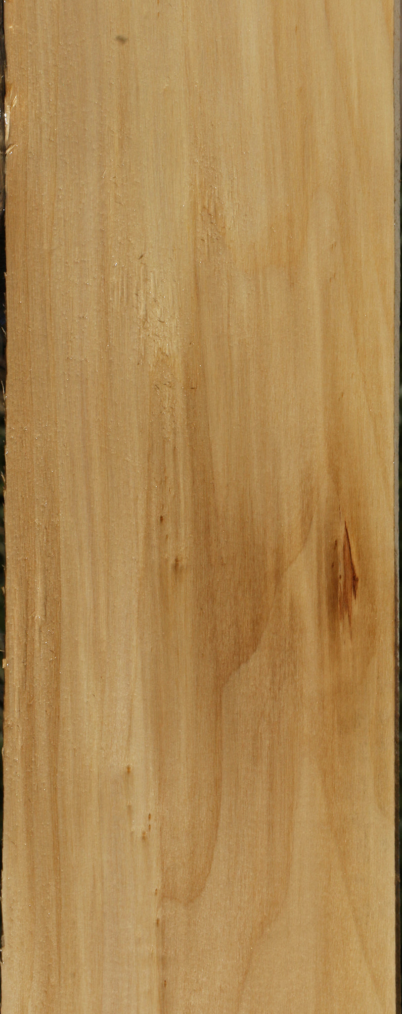Black Cottonwood Lumber