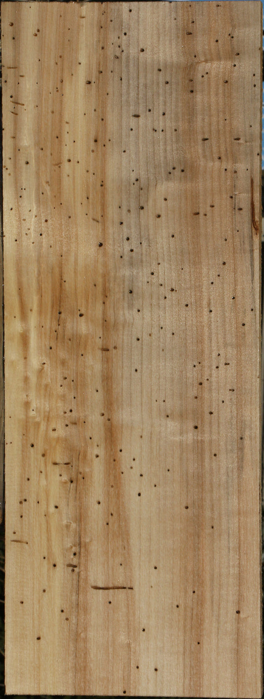 Rustic Black Cottonwood Lumber