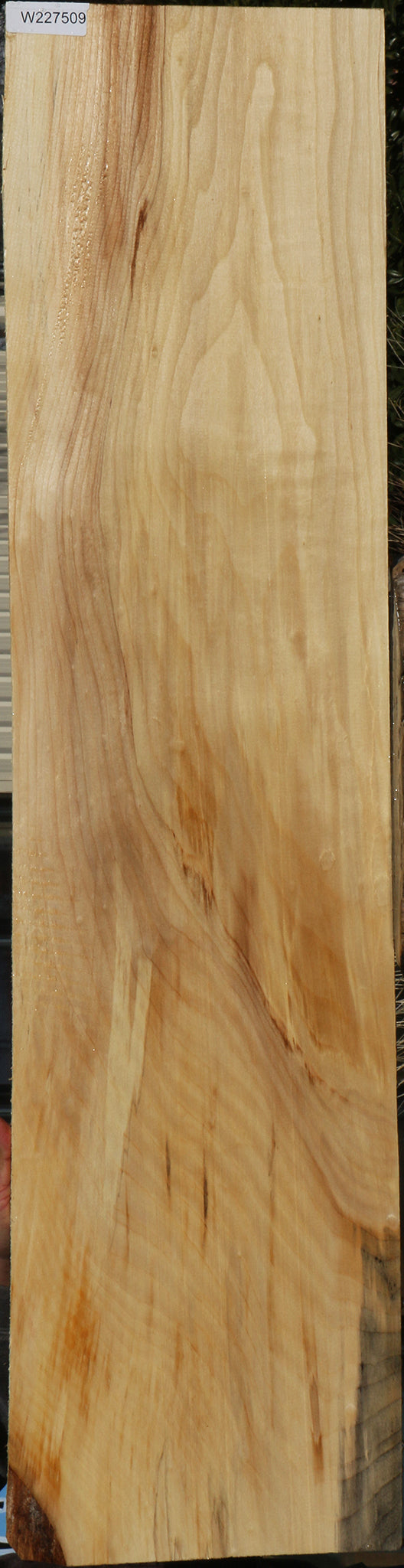Figured Black Cottonwood Lumber