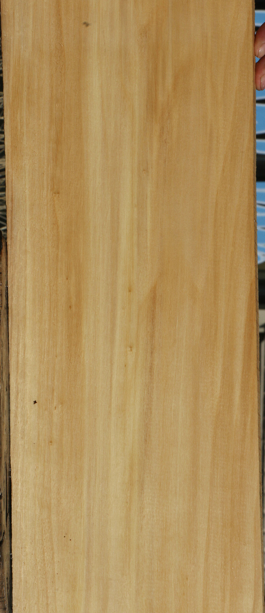 Black Cottonwood Lumber