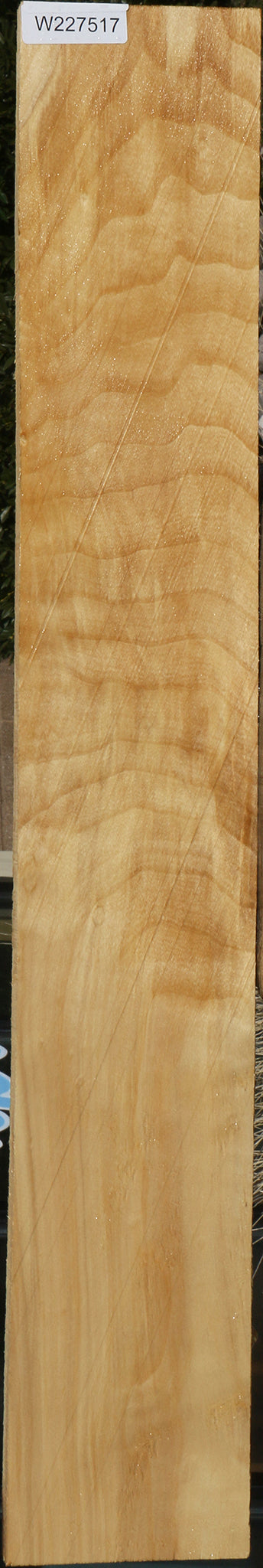 Figured Black Cottonwood Lumber