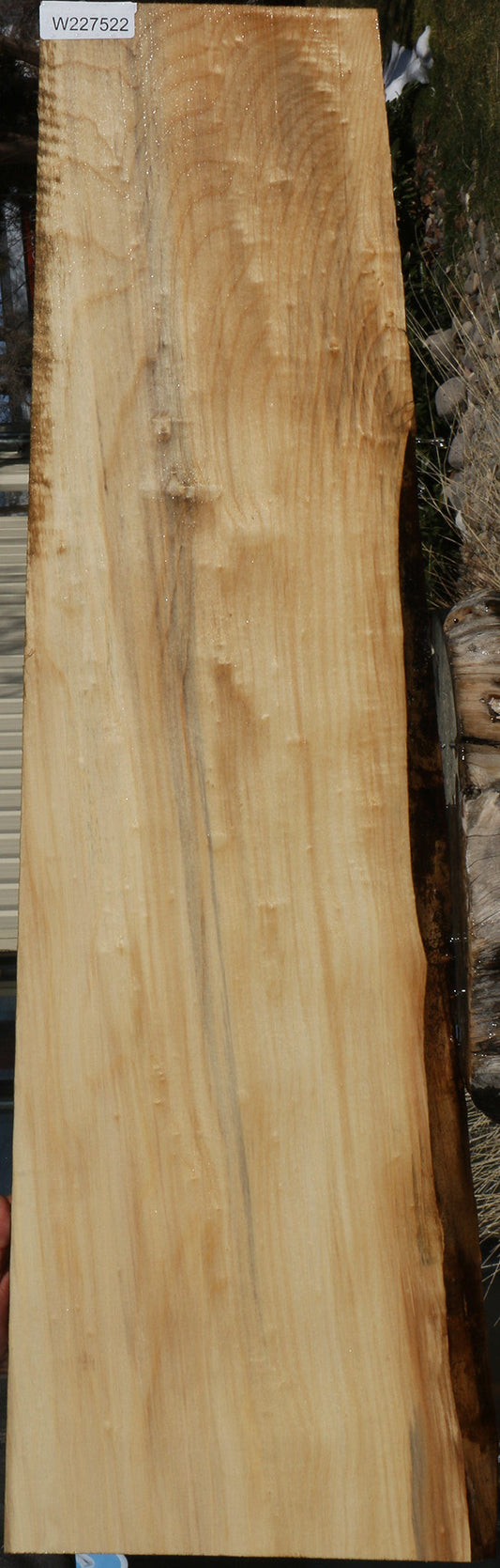 Figured Black Cottonwood Live Edge Micro Lumber