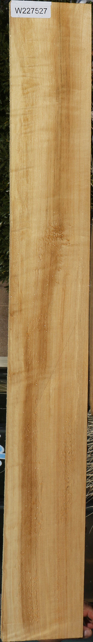 Figured Black Cottonwood Lumber