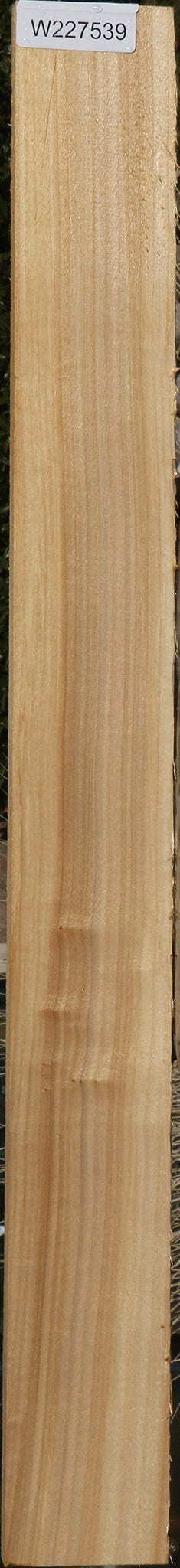 Black Cottonwood Lumber