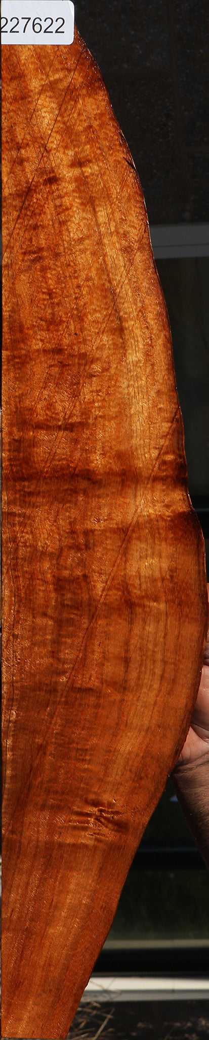 Extra Fancy Hawaiian Koa Live Edge Micro Lumber