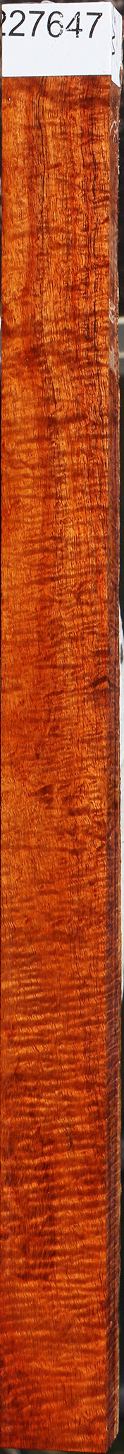 Exhibition Hawaiian Koa Live Edge Lumber