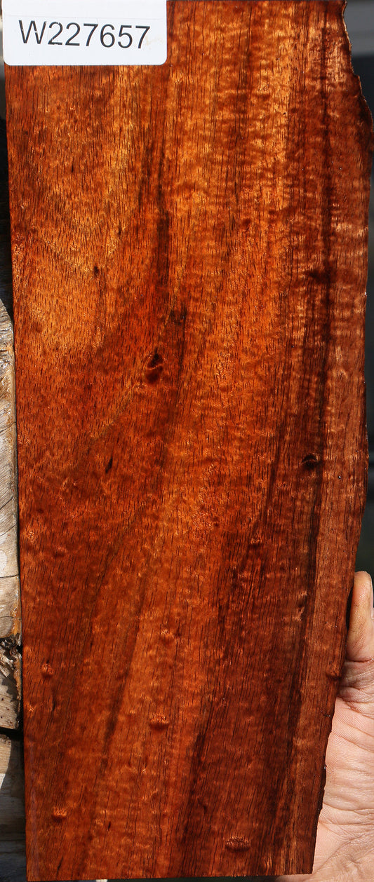Quilted Hawaiian Koa Live Edge Micro Lumber
