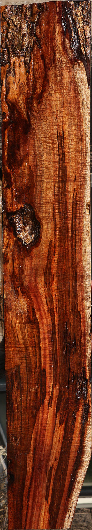 Exhibition Hawaiian Koa Micro Lumber