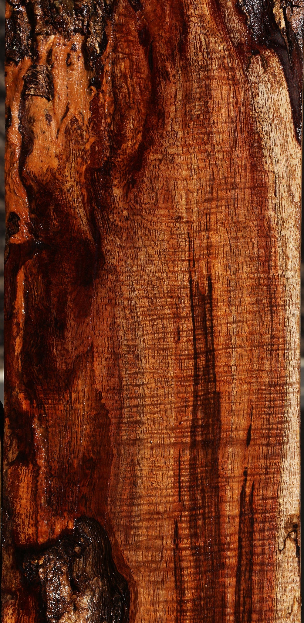 Exhibition Hawaiian Koa Micro Lumber