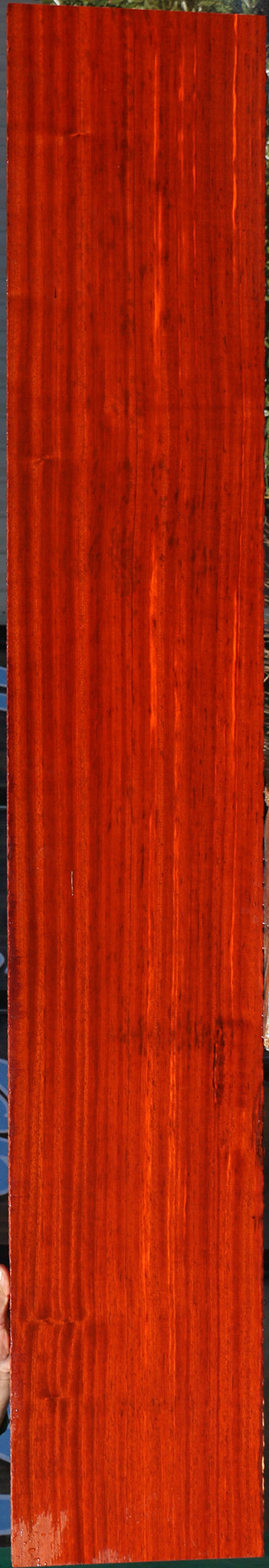 Figured Padauk Lumber