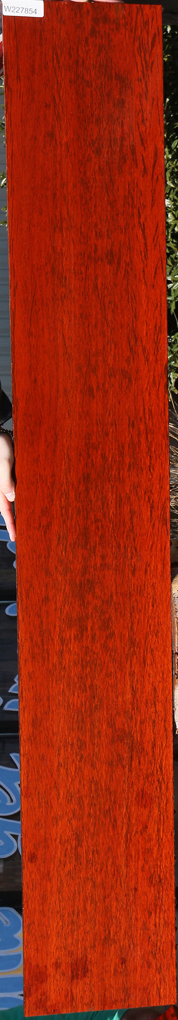 Figured Padauk Lumber