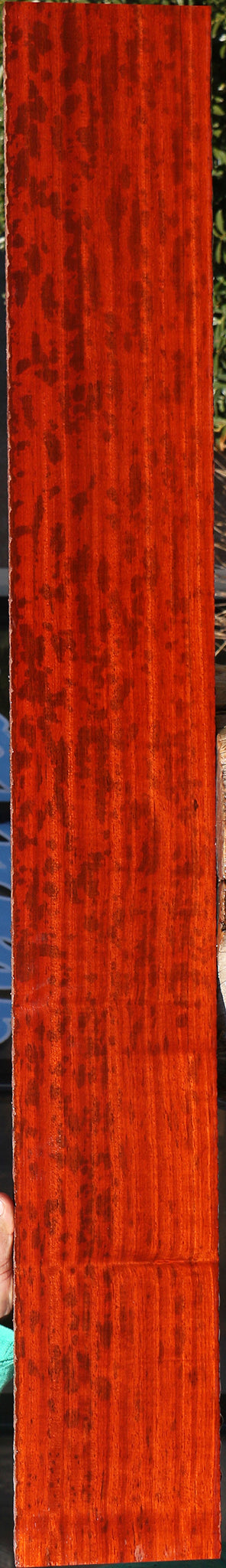 Figured Padauk Lumber