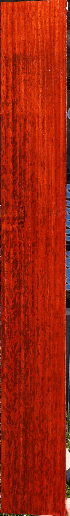 Extra Fancy Quartersawn Padauk Lumber