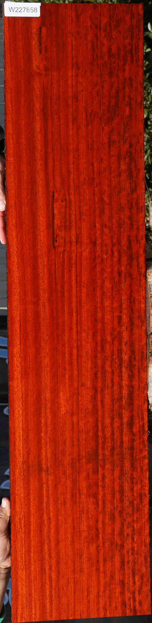 Figured Padauk Lumber
