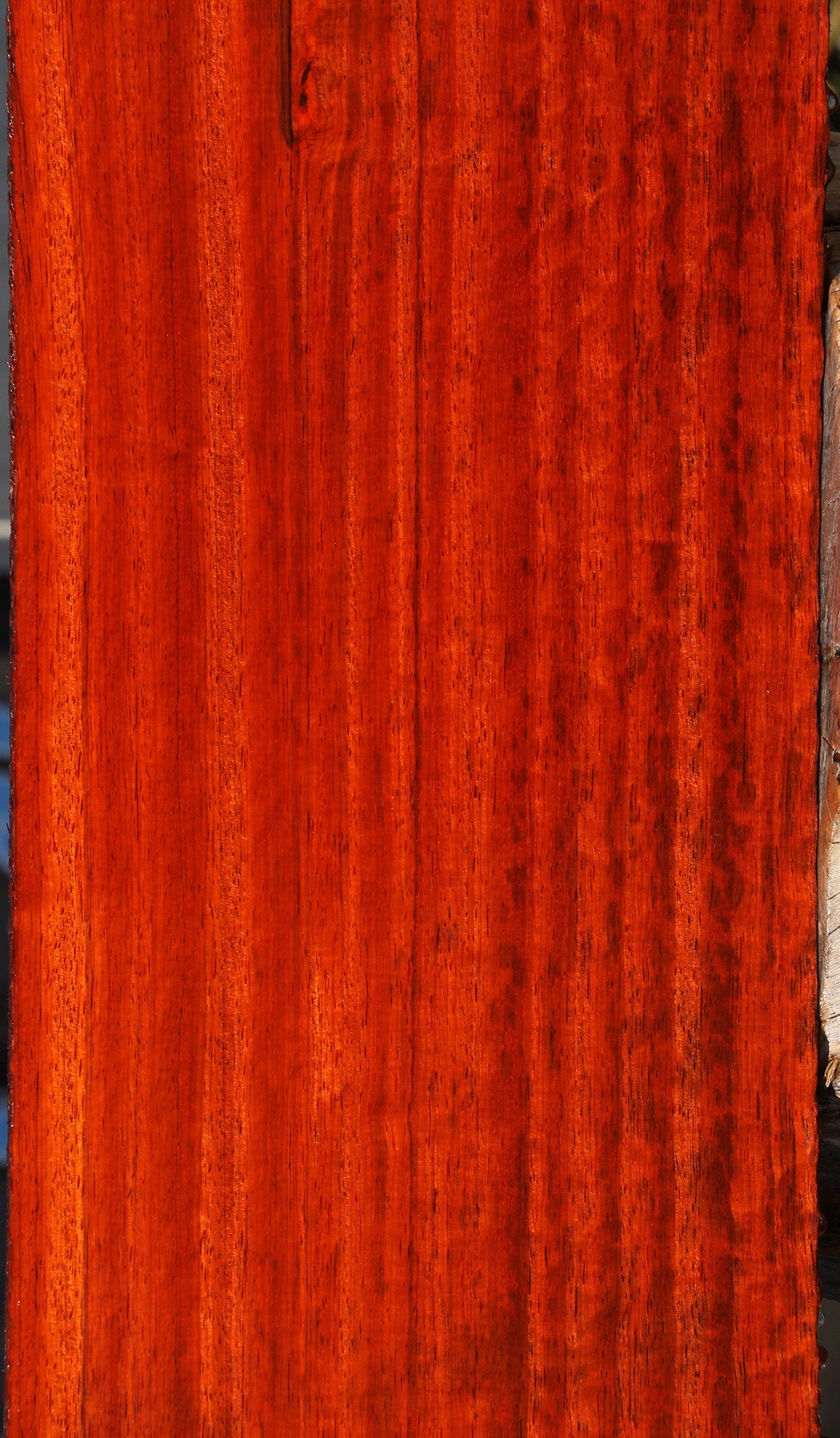 Figured Padauk Lumber