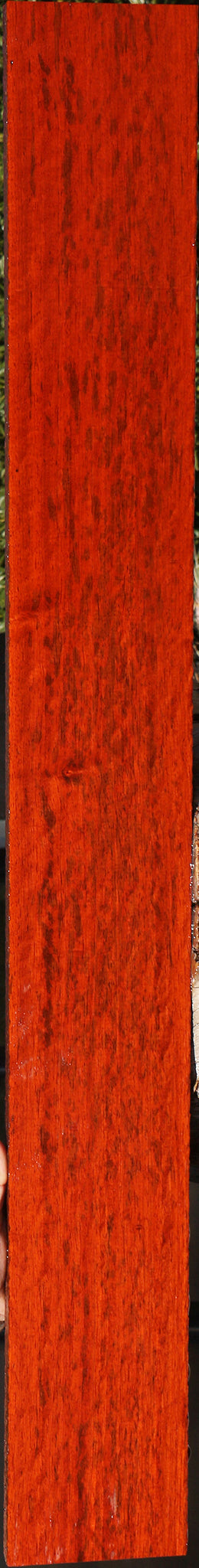 Extra Fancy Padauk Lumber