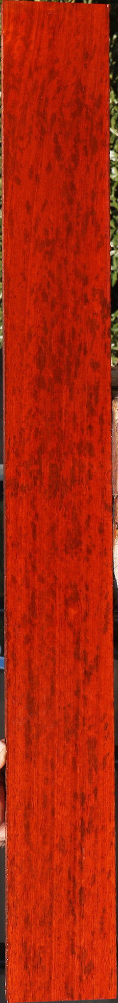 Extra Fancy Padauk Lumber