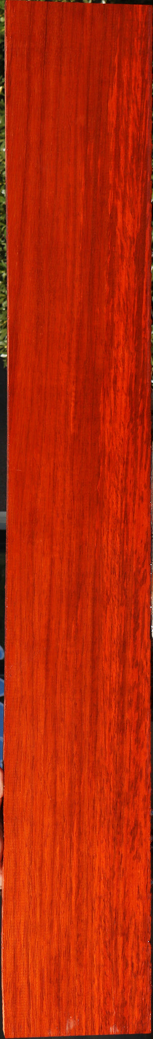 Figured Padauk Lumber