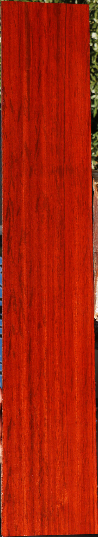 Figured Padauk Lumber