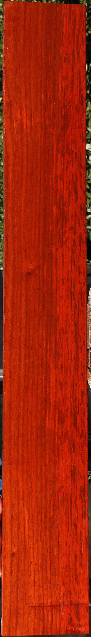 Figured Padauk Lumber