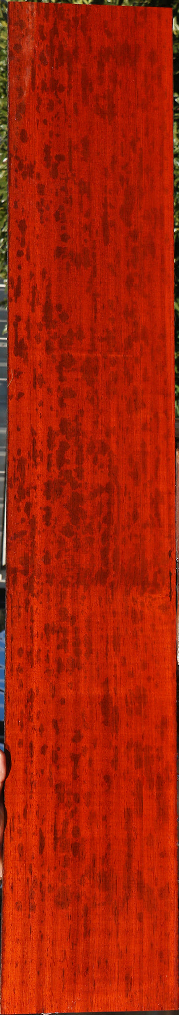 Extra Fancy Padauk Lumber
