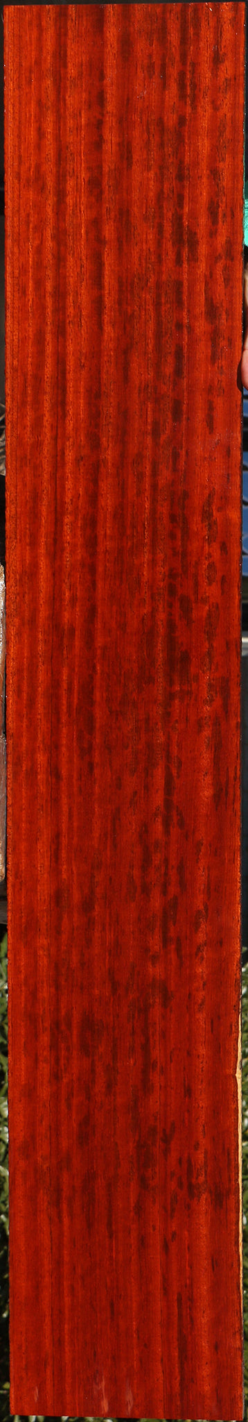 Extra Fancy Padauk Lumber
